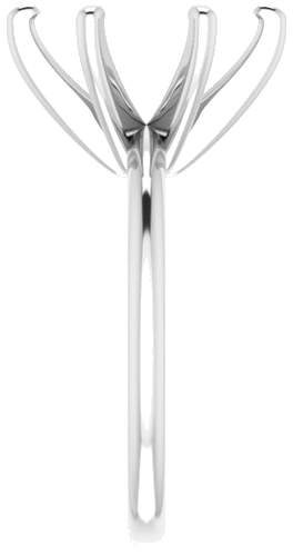 Sužadėtuvių Žiedas „Solitaire“ 585 Baltojo Aukso Oval 12mm x 10mm (4)