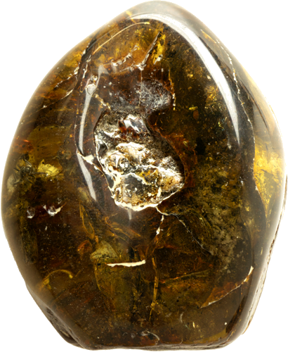 48,75 g Amber nugget with ant inclusion (1)