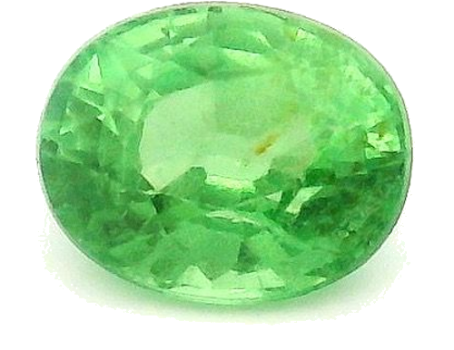 0.55 carat GREEN Oval Garnet (1)