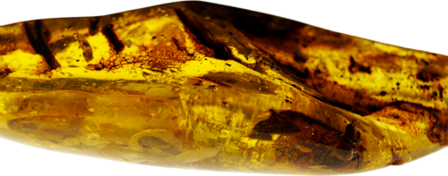 Самородок янтаря с пузырьками воздуха и воды 73,35 г (1)