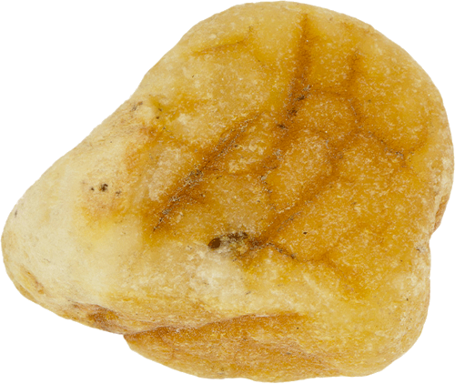 6,45 g Jūras dzintara tīrradnis (2)