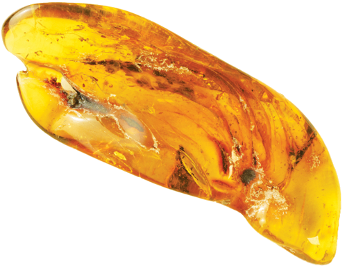 6,60 g Amber Nugget with inclusion (1)