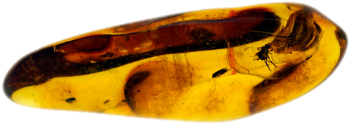 4,35 g Amber Nugget with inclusion (1)