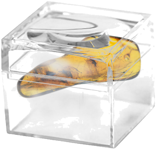 2,30 g Gintaro grynuolis su inkliuzais (2)