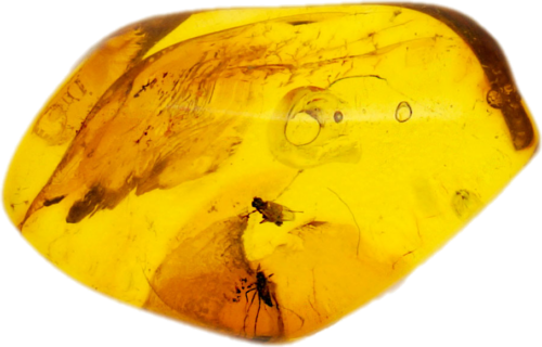 Самородок янтаря с инклюзом 1,25 г (1)