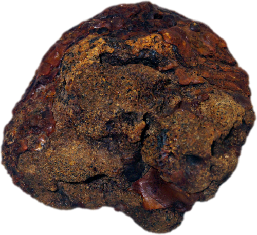 584 g Gintaro grynuolis (1)