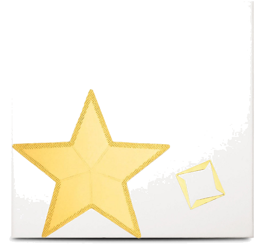 5 x 1 гр. Комбинирано кюлче™ Gold Star Valcambi (6)