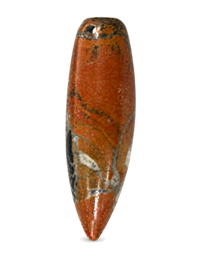 Galvakojo moliusko fosilijos pakabukas (Orthoceras), Marokas, ~370 mln. m. (1)