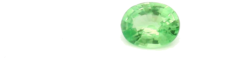 0.34 carat GREEN Oval Garnet (1)