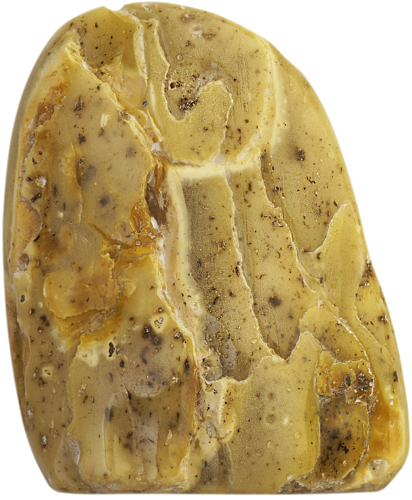 28,80 g Amber nugget (1)