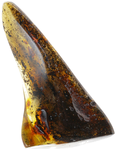 31,60 g Amber nugget (1)