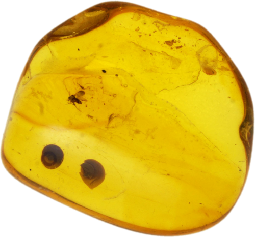 2,65 g Gintaro grynuolis su inkliuzu (1)