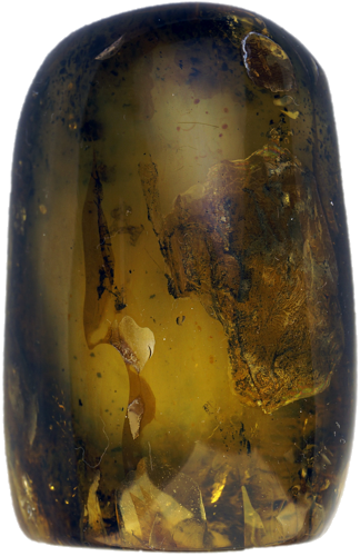 32,15 g Amber nugget (2)