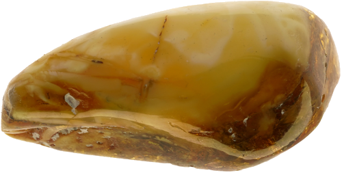 8,70 g Gintaro grynuolis (1)