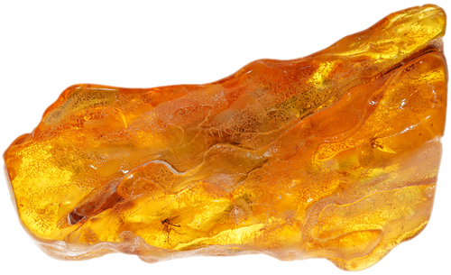 26,40 g Gintaro grynuolis su inkliuzu (1)