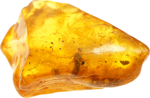 10,10 g Amber Nugget with inclusion (1)