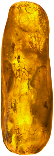 13,50 g Amber nugget with inclusion (4)