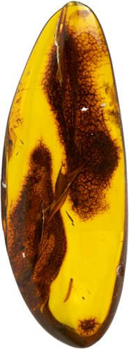17,75 g Amber nugget (1)