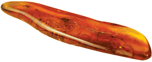 2,45 g Amber Nugget with inclusion (4)