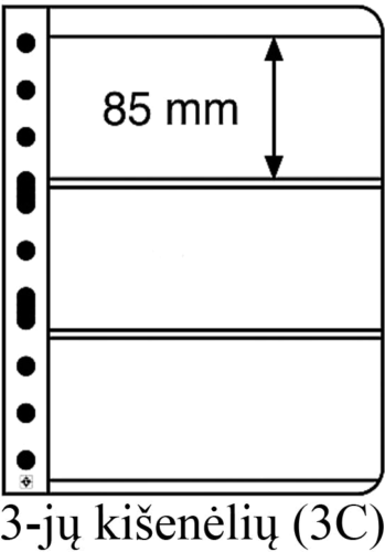 Įmautės Vario (Skaidrios) (4)