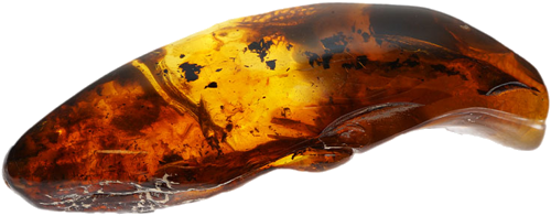 31,60 g Amber nugget (1)