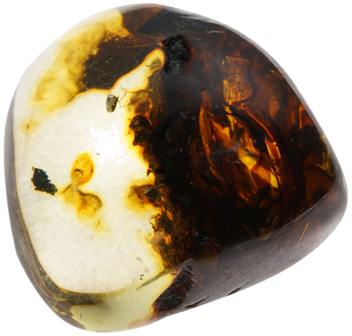 31,60 g Amber nugget (1)