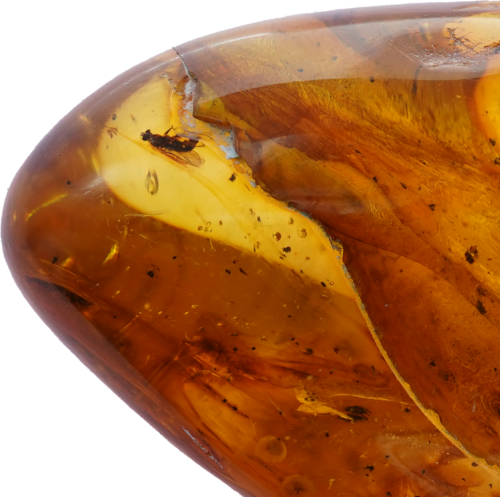 14,30 g Amber Nugget with inclusion (2)