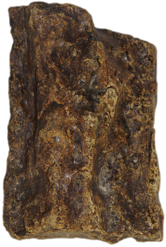 292 g Amber Nugget (2)
