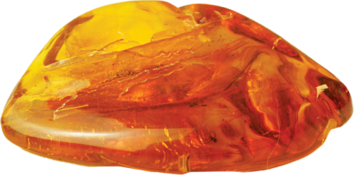 18,20 g Dzintara tīrradnis ar inkrustāciju (4)