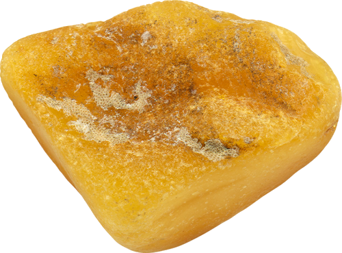 9,75 g Jūrinio Gintaro grynuolis (2)