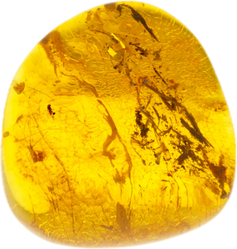 16,70 g Amber nugget with inclusion (1)