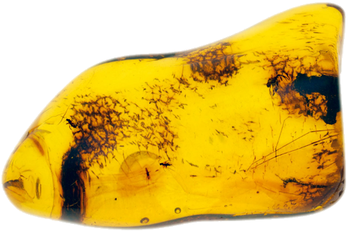 6,80 g Amber Nugget with inclusions (1)