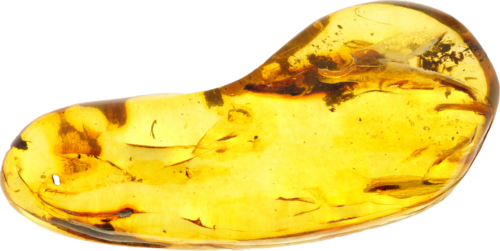 20,00 g Gintaro grynuolis su inkliuzu (1)