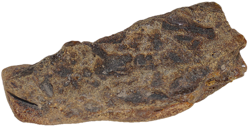 20,50 g Gintaro grynuolis (2)