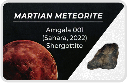 Марсиански метеорит (1)