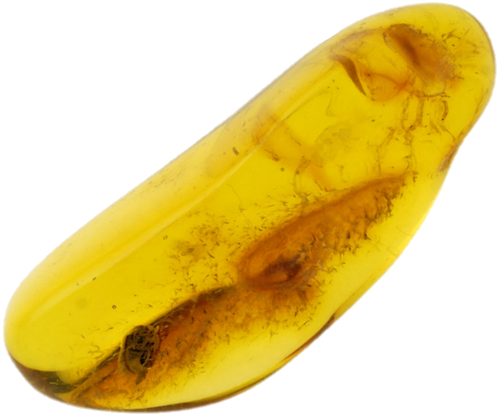 2,55 g Amber Nugget with inclusion (1)