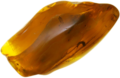 13,65 g Amber Nugget with inclusion (1)
