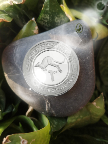 1 oz Kengūra 2013 Australija sidabrinė moneta (3)