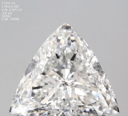 1.7 carat G-SI2 Natūralus Triangular Deimantas (1)