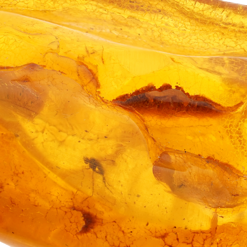 21,10 g Amber Nugget with inclusion (2)