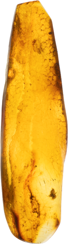 3,85 g Amber nugget with inclusion (3)