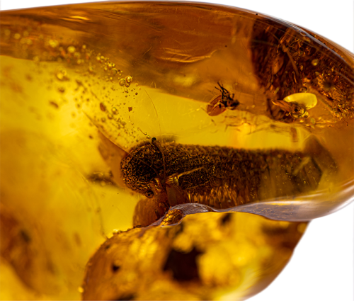 Самородок янтаря с инклюзом 29,90 г (4)