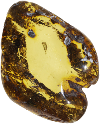 12,25 g Gintaro grynuolis (2)