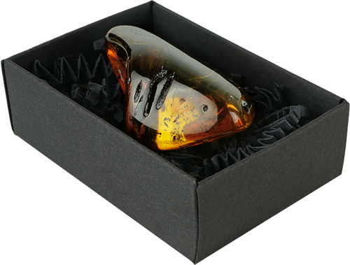 20,35 g Gintaro grynuolis (4)