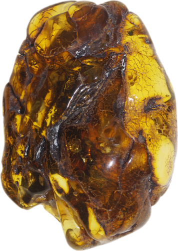 12,30 g Gintaro grynuolis (1)