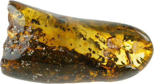 46,60 g Amber nugget (1)