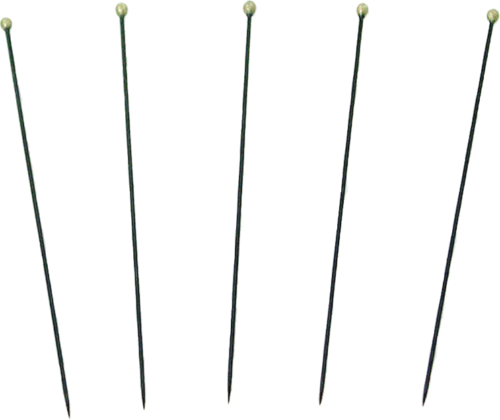 Entomoloģiskie adatas kukaiņiem (emaljētas) (2)