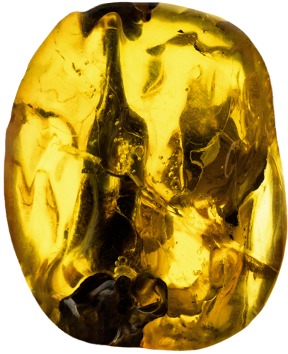 39,75 g Gintaro grynuolis su inkliuzu (4)