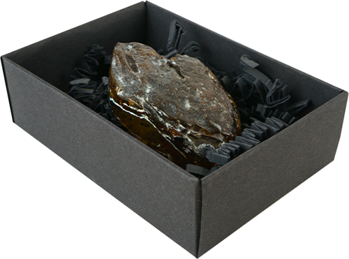 25,95 g Gintaro grynuolis (2)