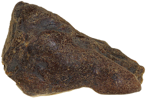 62,75 g Gintaro grynuolis (1)
